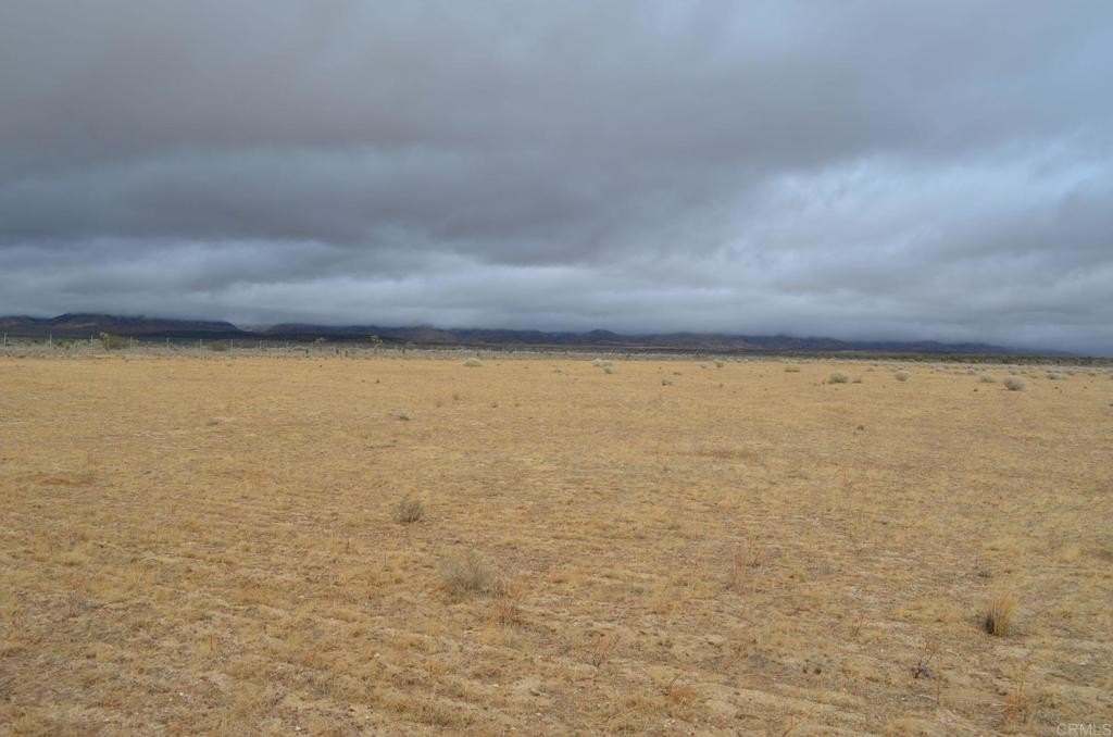 Rosamond Land with Equestrian Features