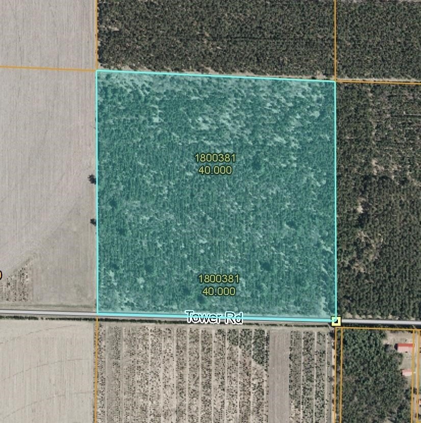 Wooded 40-Acre Land Parcel