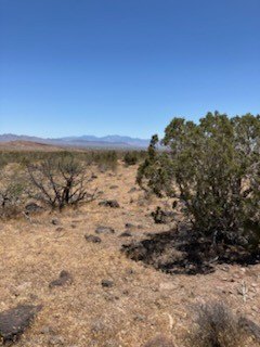 LAND - Golden Valley, AZ