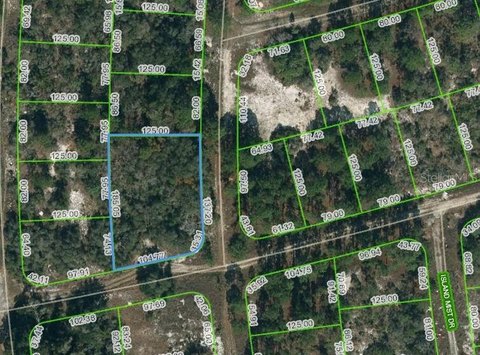 Residential Land in Lake Placid