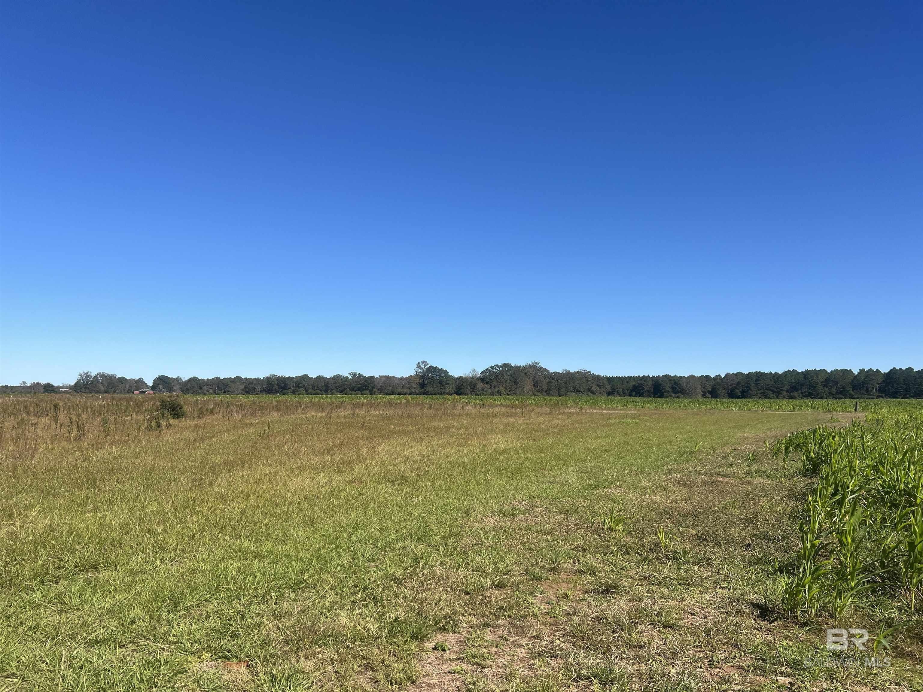 Prime Crop Land in Walnut Hill