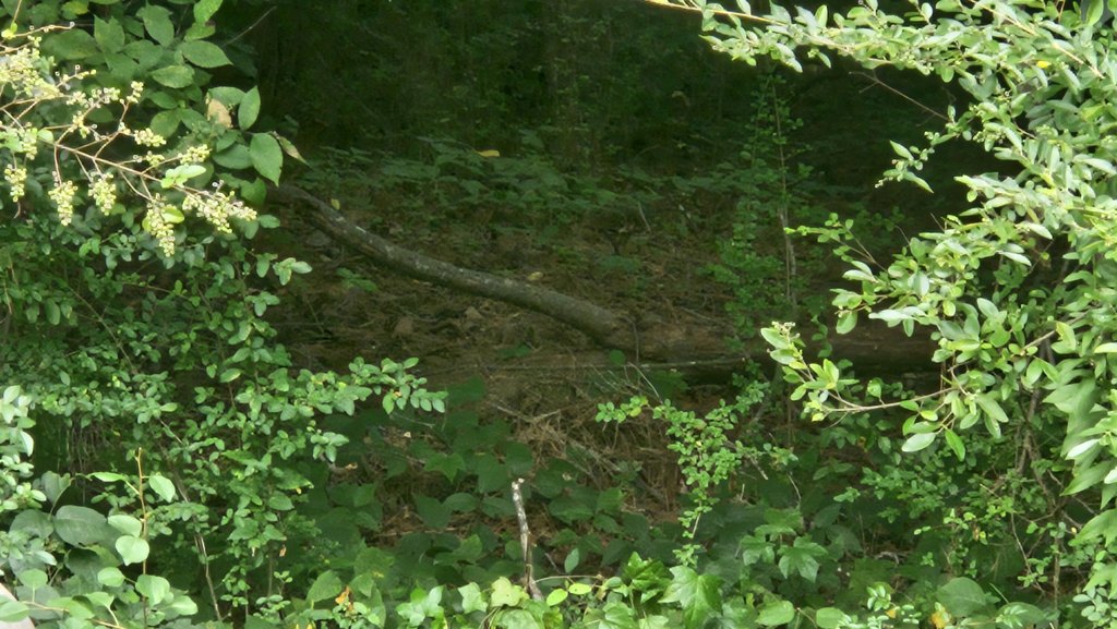 Picture 32