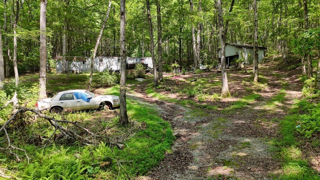 Picture 8