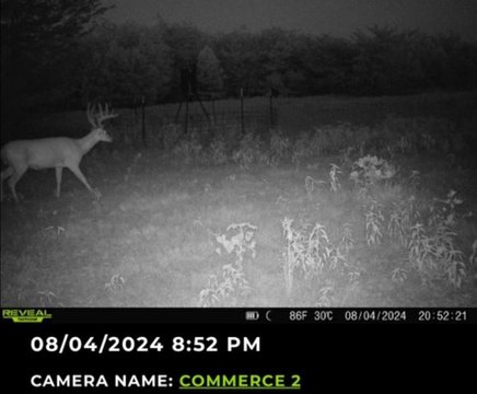 Unimproved Land Near Sulphur River