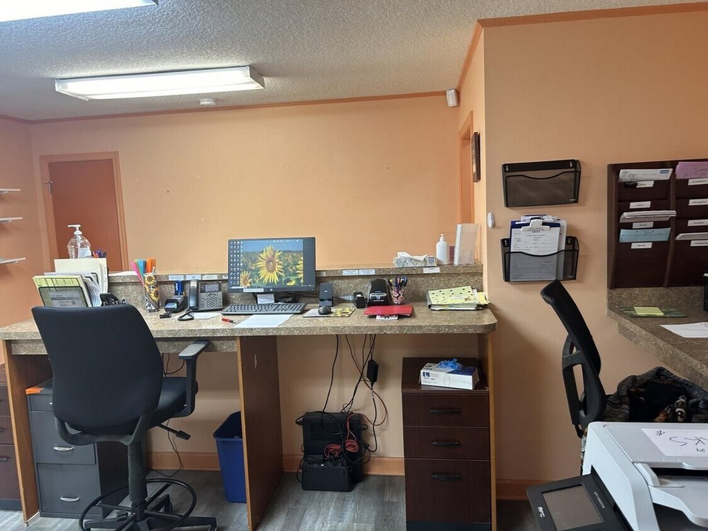 Picture 13