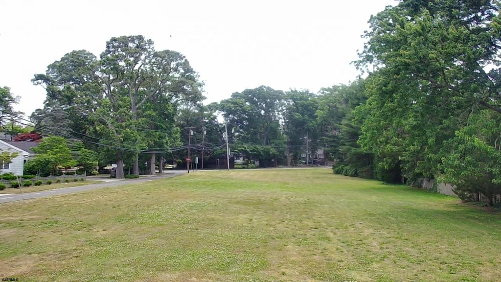 Picture 7