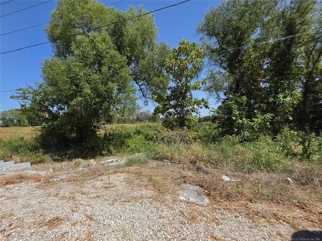 Picture 7