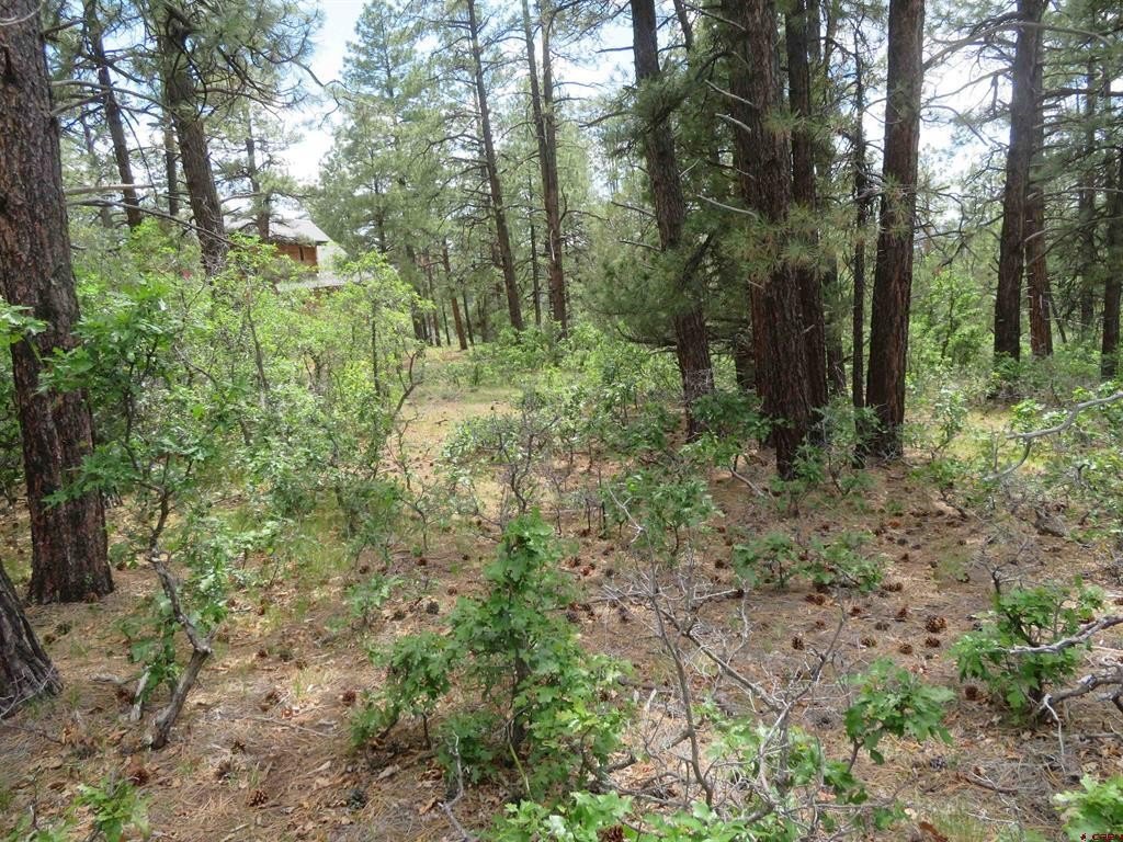 Picture 3