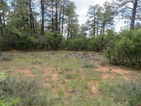 Land in Pagosa Springs, CO