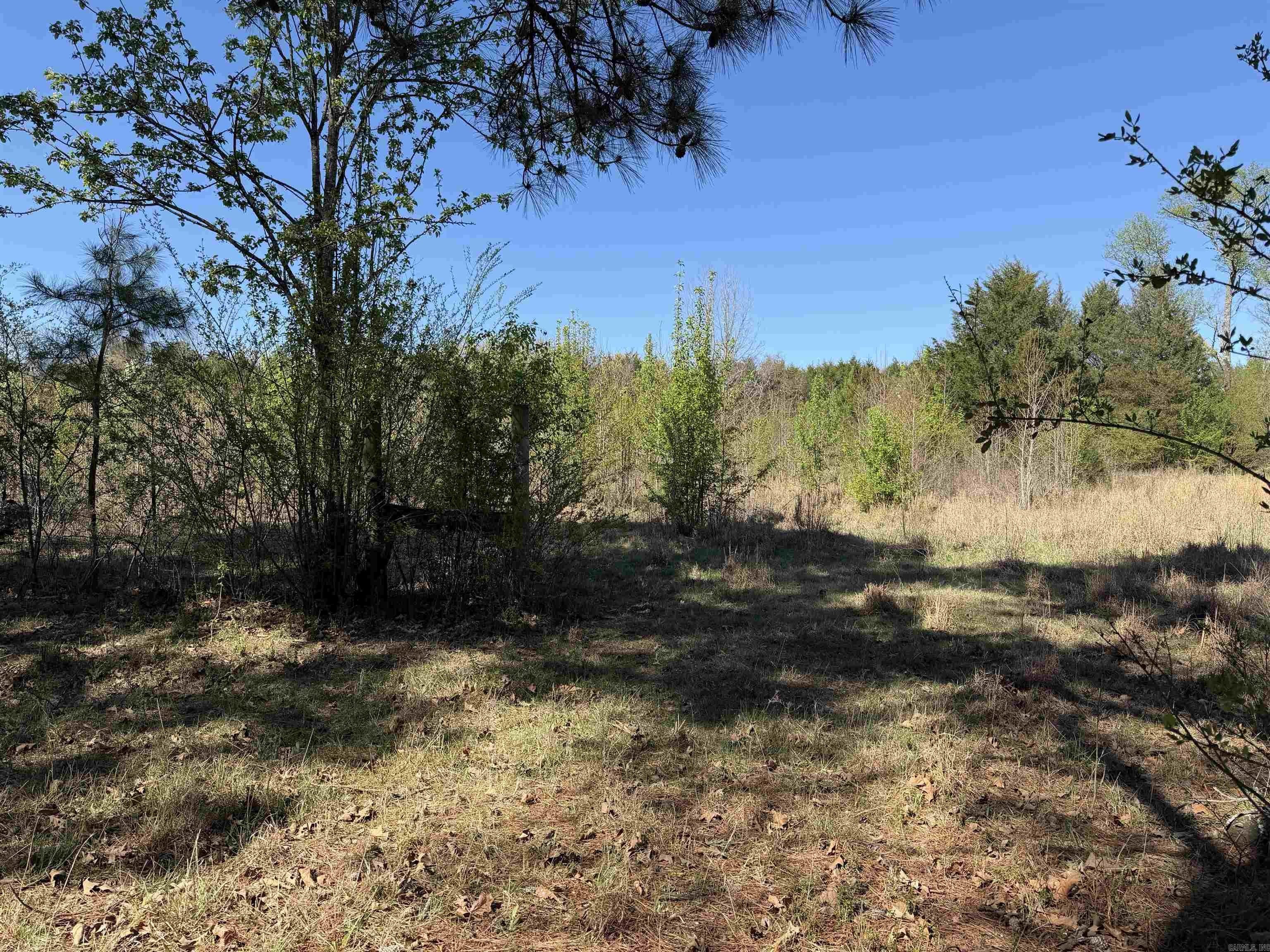 Judsonia Land with I-57 Frontage