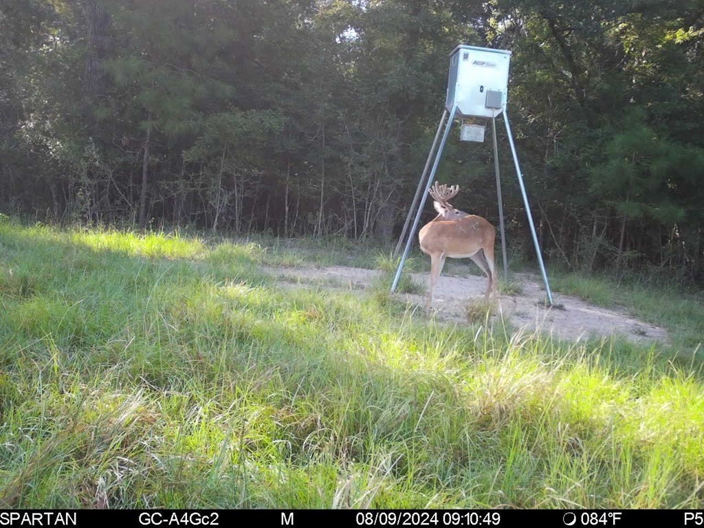 Picture 36