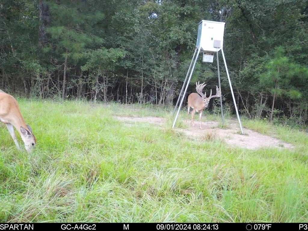 Picture 32