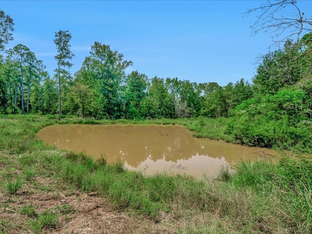 Picture 10