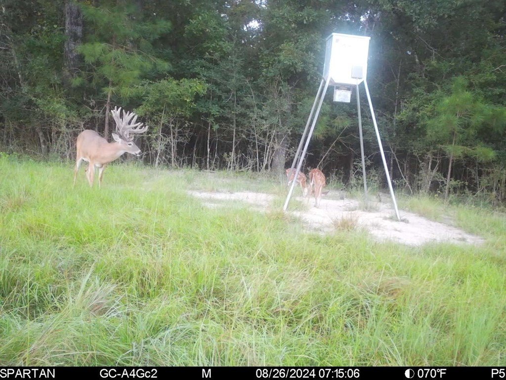 Picture 34