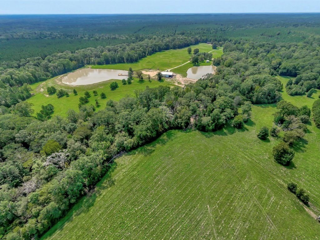 Picture 26