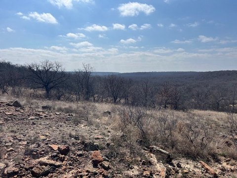 Ranch Land with Productive Pasture