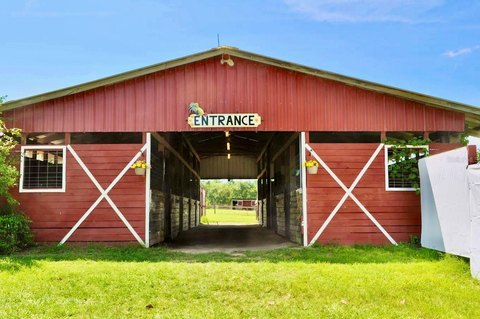Improved Agricultural Farm