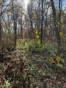 Crosslake Land Parcel with Views