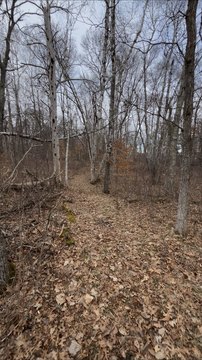 Crosslake Land Parcel with Views