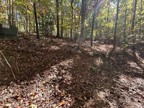 Brasstown NC Land For Sale