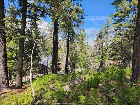 Oversized Lot in Twin Peaks