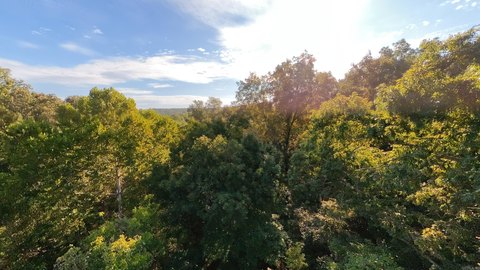 Vacant Land, Mammoth Spring, AR