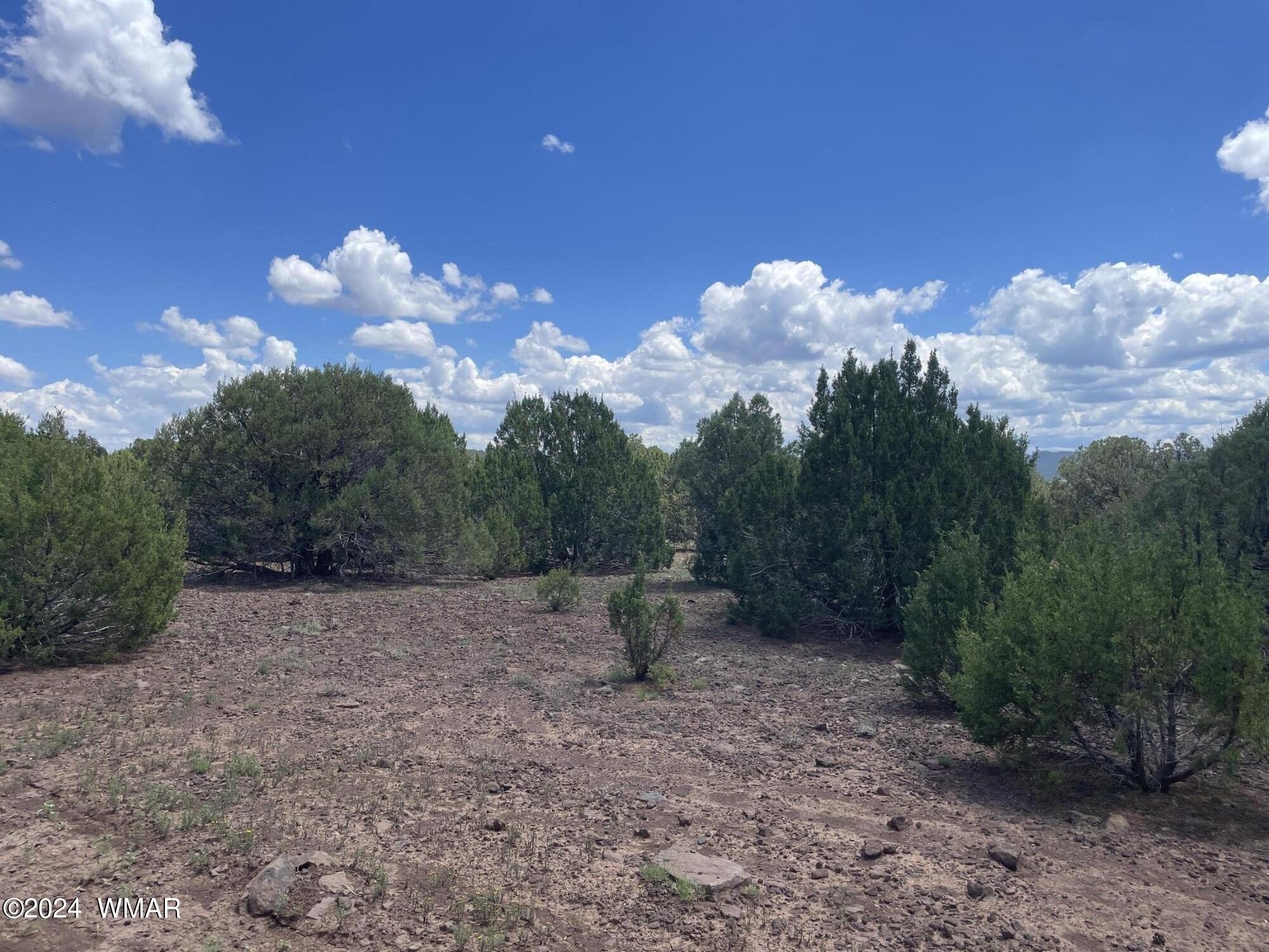 Land in Vernon, Arizona