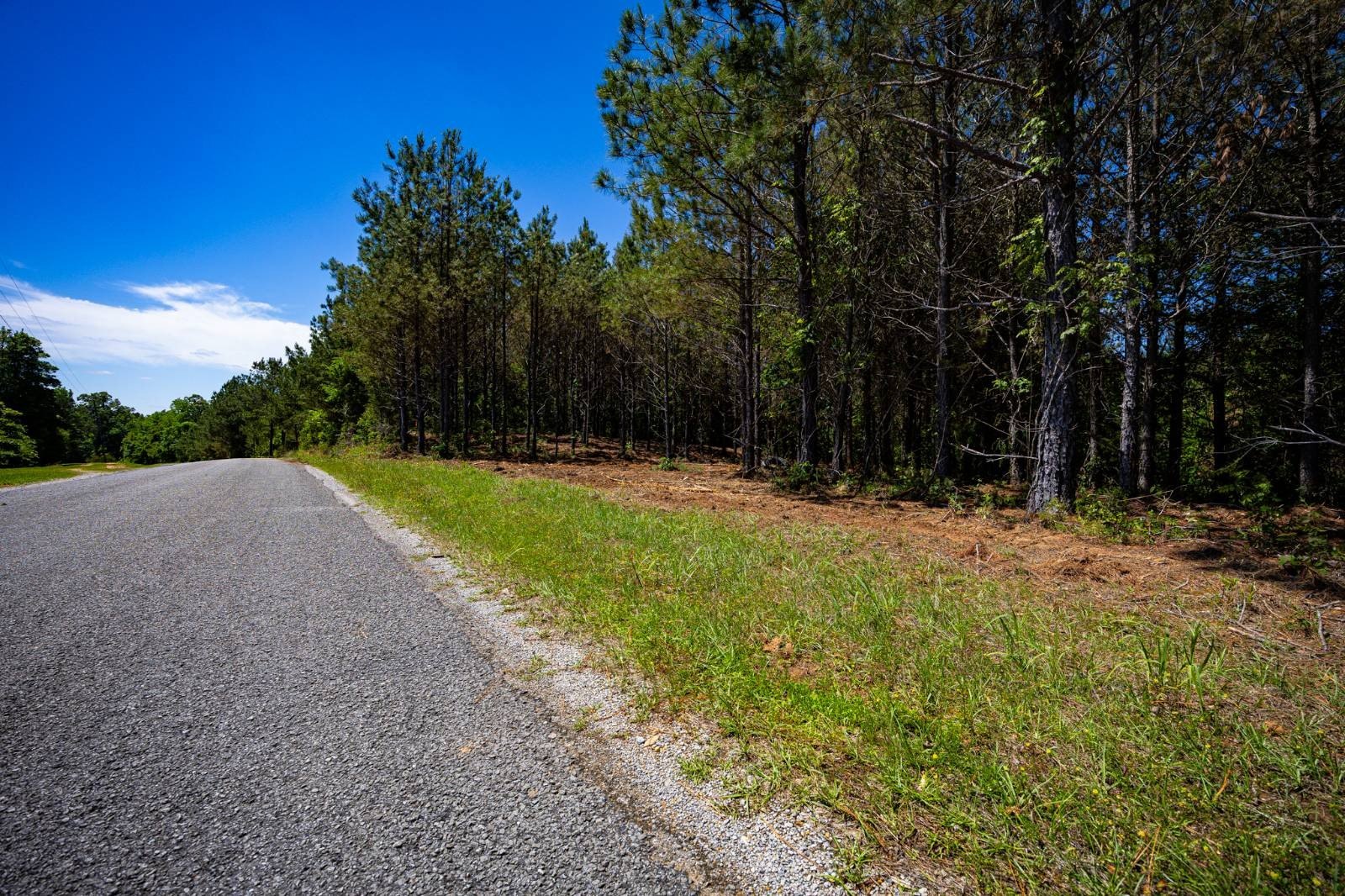 Land Near Tennessee-Tombigbee Waterway