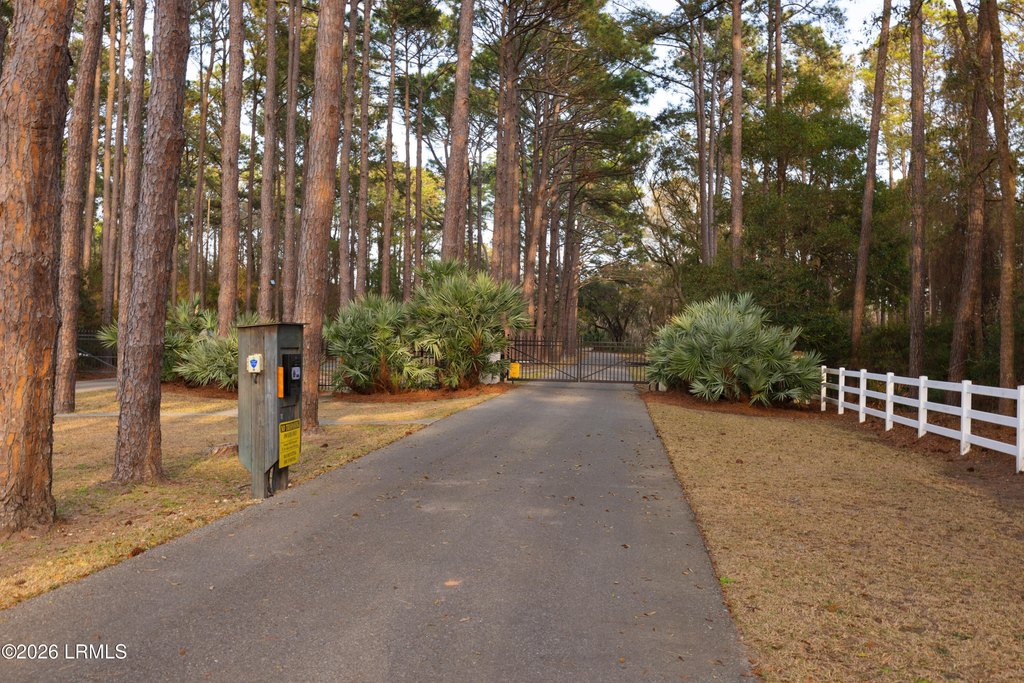 Picture 24
