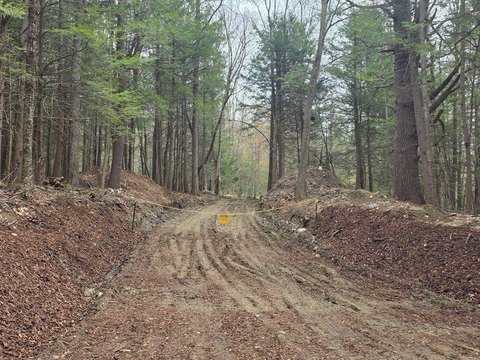 Blandford Land with Development Potential