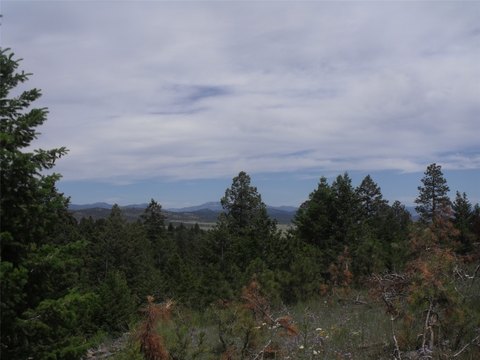 Land with Helena Views