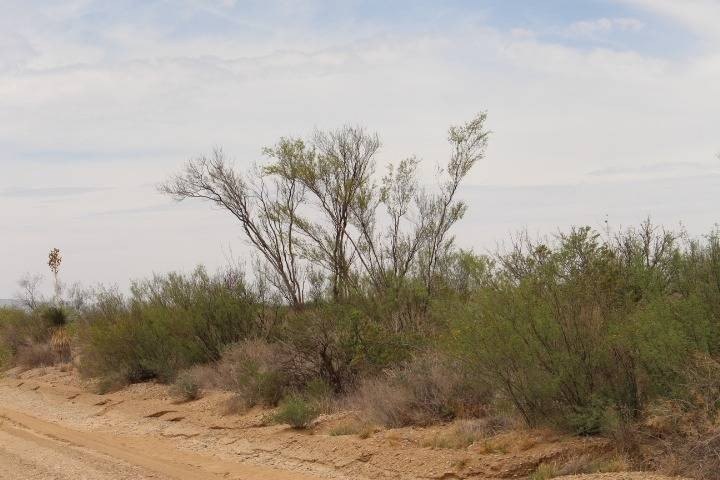 Picture 3