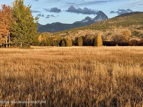 Land, Driggs, ID
