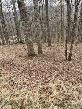 Land, Todd, NC