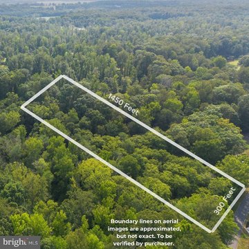 Buildable Wooded Homesite in King George