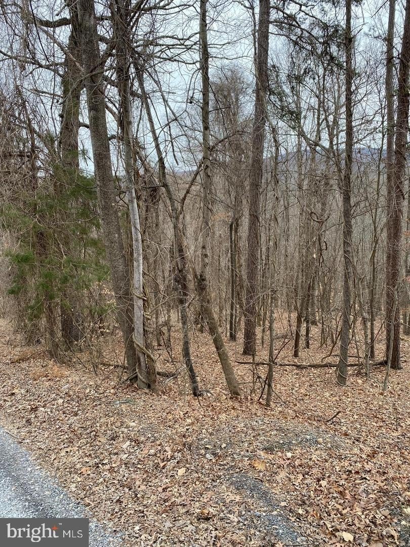 Buildable Lot in Shen Farms