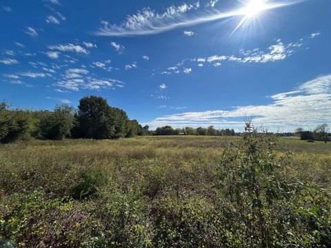Land, Chandler, TX