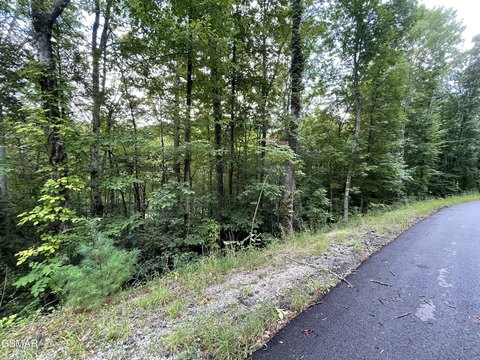 Land, Sevierville, TN