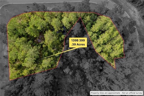Waverly, GA Land Opportunity