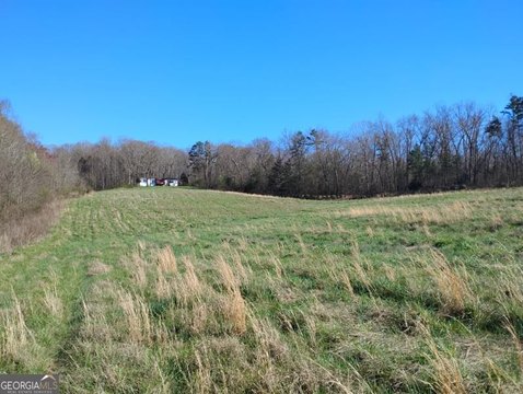 LAND - Carnesville, GA