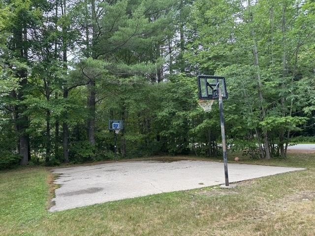 Picture 8