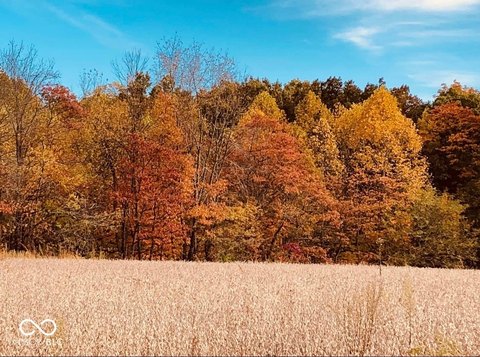Build-Ready Home Lots