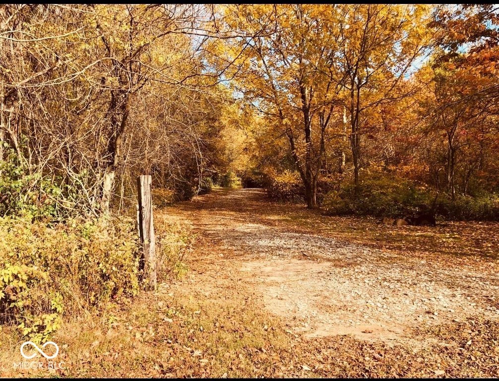 Picture 3
