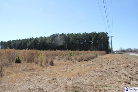 Agricultural Land with Pond