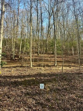 Vacant Lot, Blue Ridge, GA