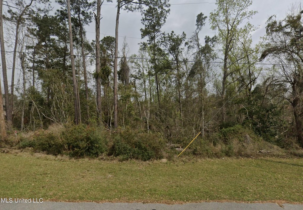 Picture 6