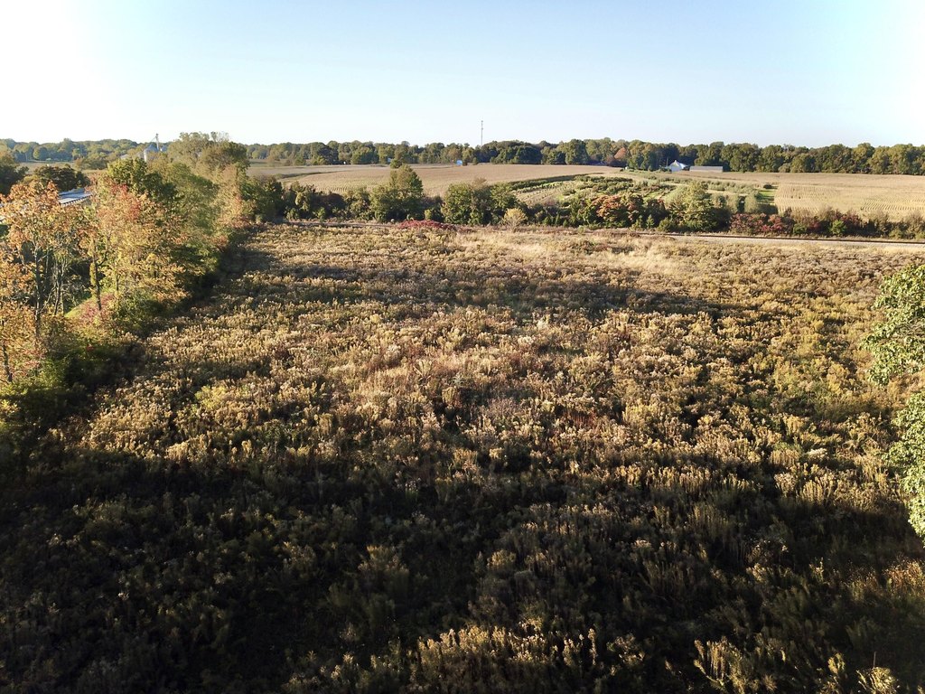 Picture 5