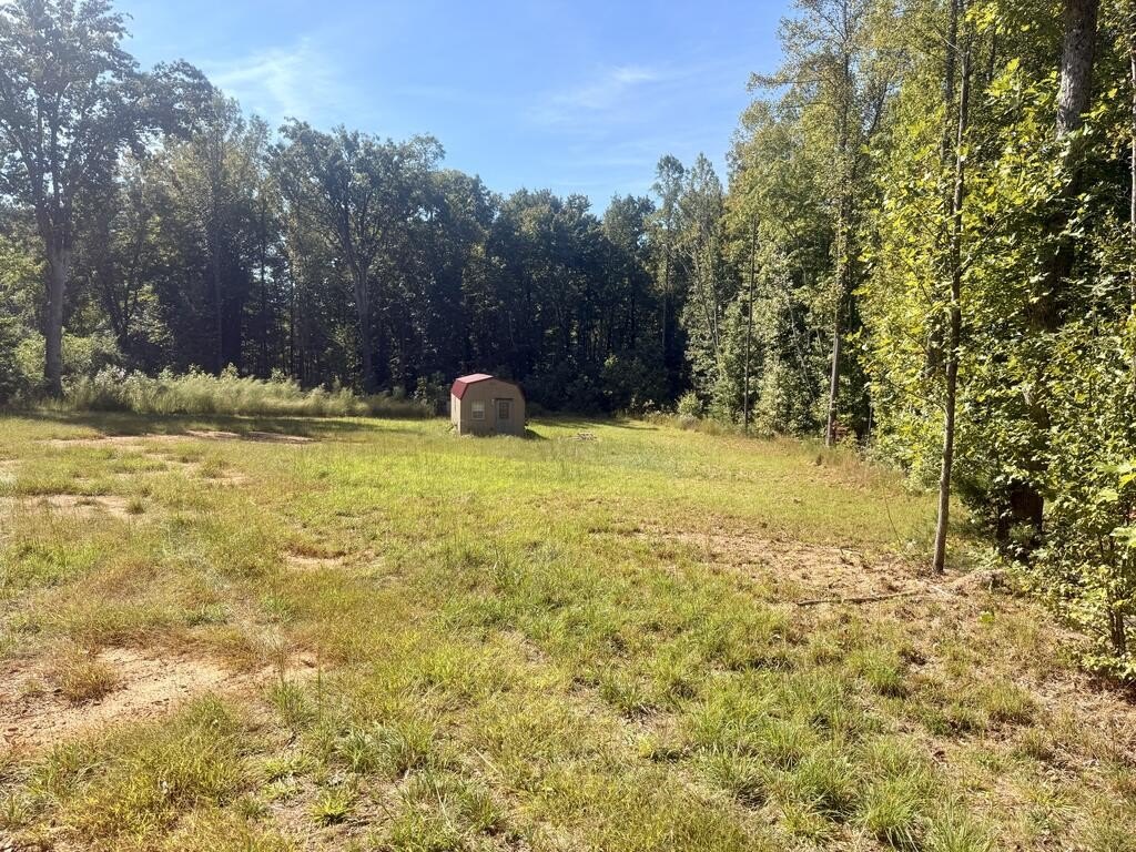 Picture 2
