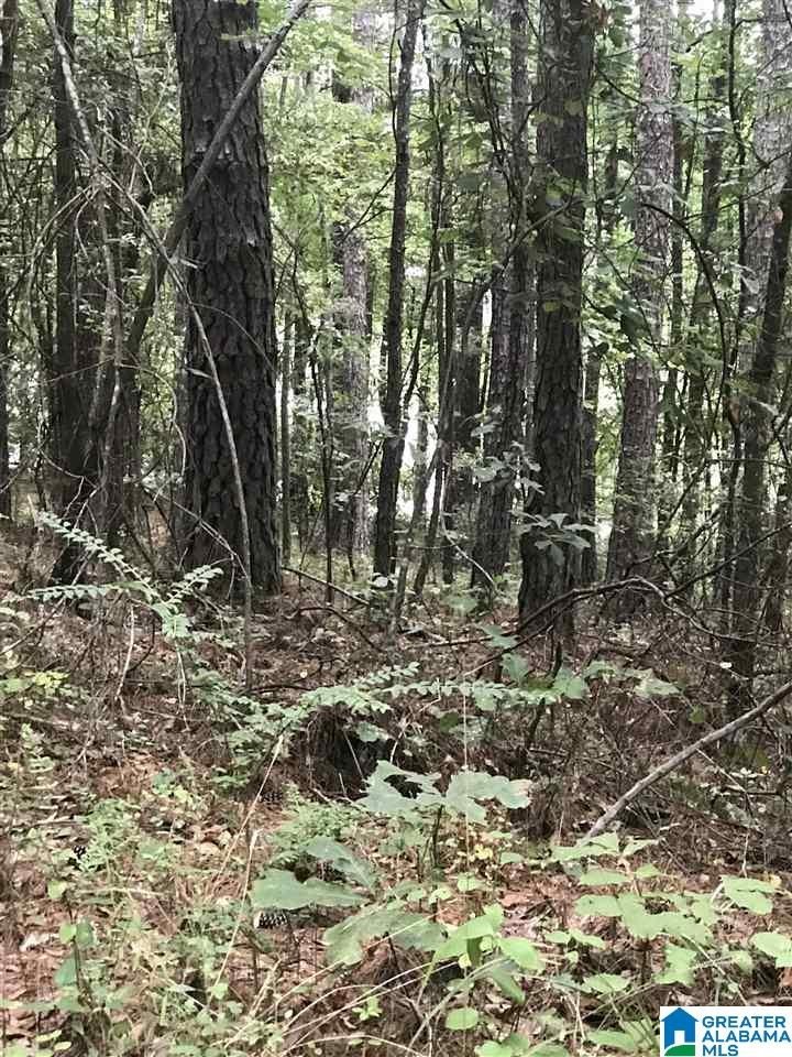 Residential Building Lot in ALPINE