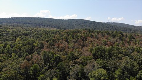 Land, Danville, AR
